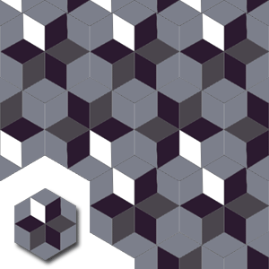 Ref: XH20006 Hexagonal encaustic tiles