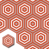 Ref: XH20007 Losa hidráulica Hexagonal - Imagen 5