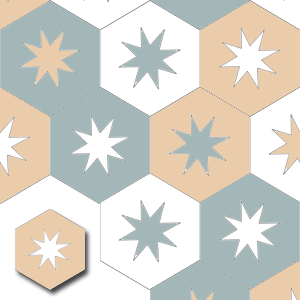 Ref: XH20012 Hexagonal Encaustic Tile Slab