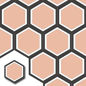 Ref: XH20013 Baldosa Hidráulica hexagonal