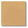 baldosa hidráulica beige lisa fabricación